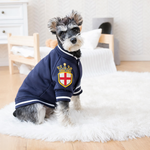 Its Coming Home - Fifa World Cup 2026